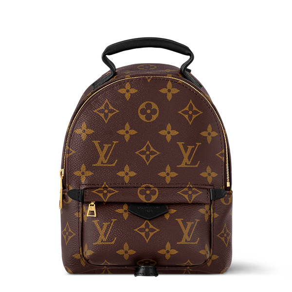 Louis Vuitton Palm Springs Backpack in brown Monogram Canvas