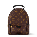 Load image into Gallery viewer, Louis Vuitton Palm Springs Backpack in brown Monogram Canvas
