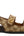 Moritz GG Supreme Sandals