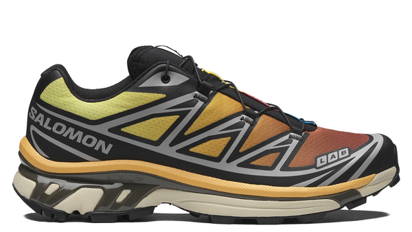 Salomon XT-6 Black Grape Leaf Beach Ball