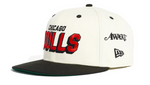 Load image into Gallery viewer, Awake NY x New Era x NBA Chicago Bulls 9FIFTY Snapback
