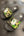 Bape College Slides Camo